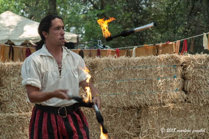 0806_28_RenaissanceFayre_4510