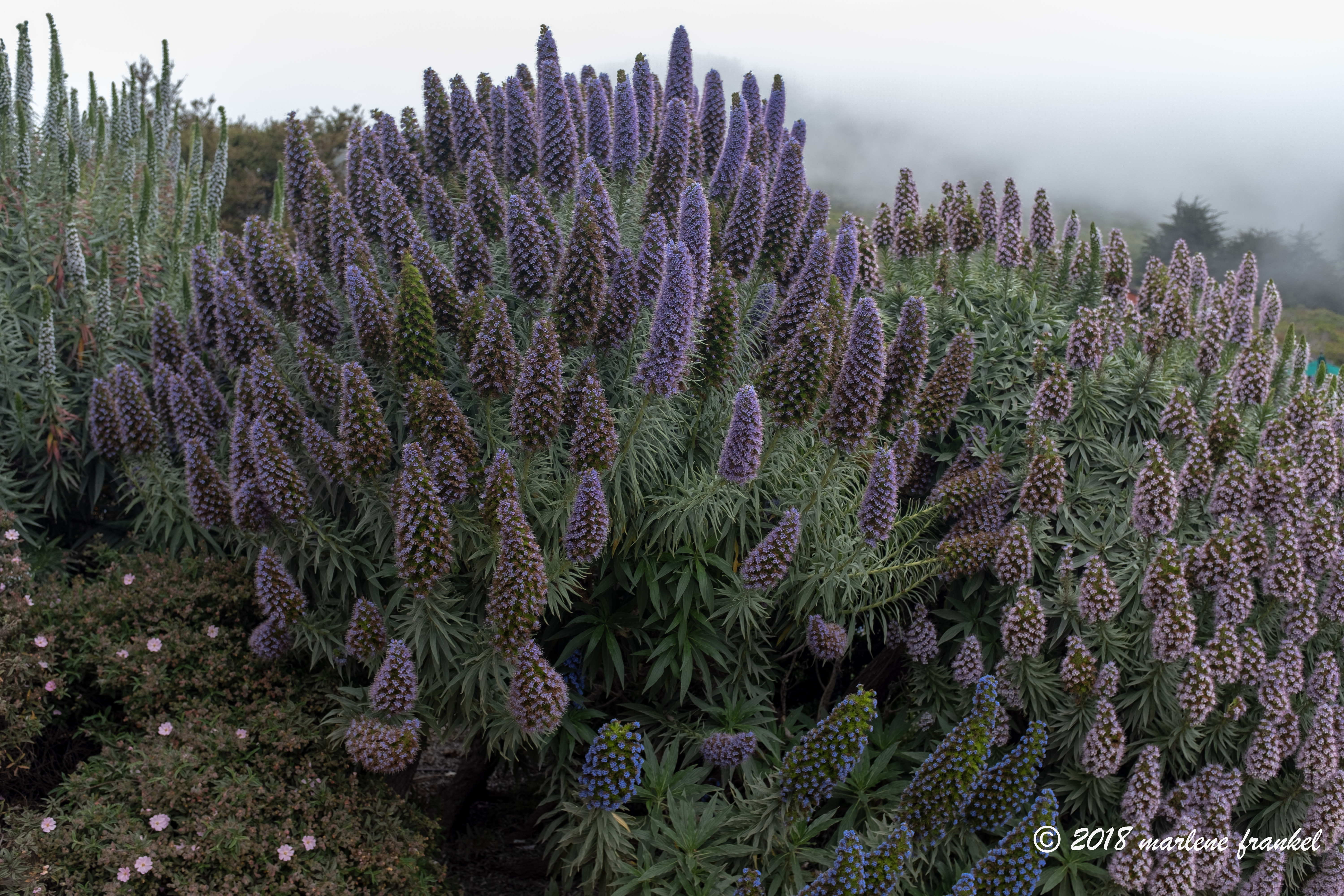 1805_29_SoCalTrip_0765