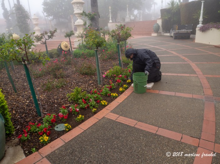 1805_30_SoCalTrip_2155