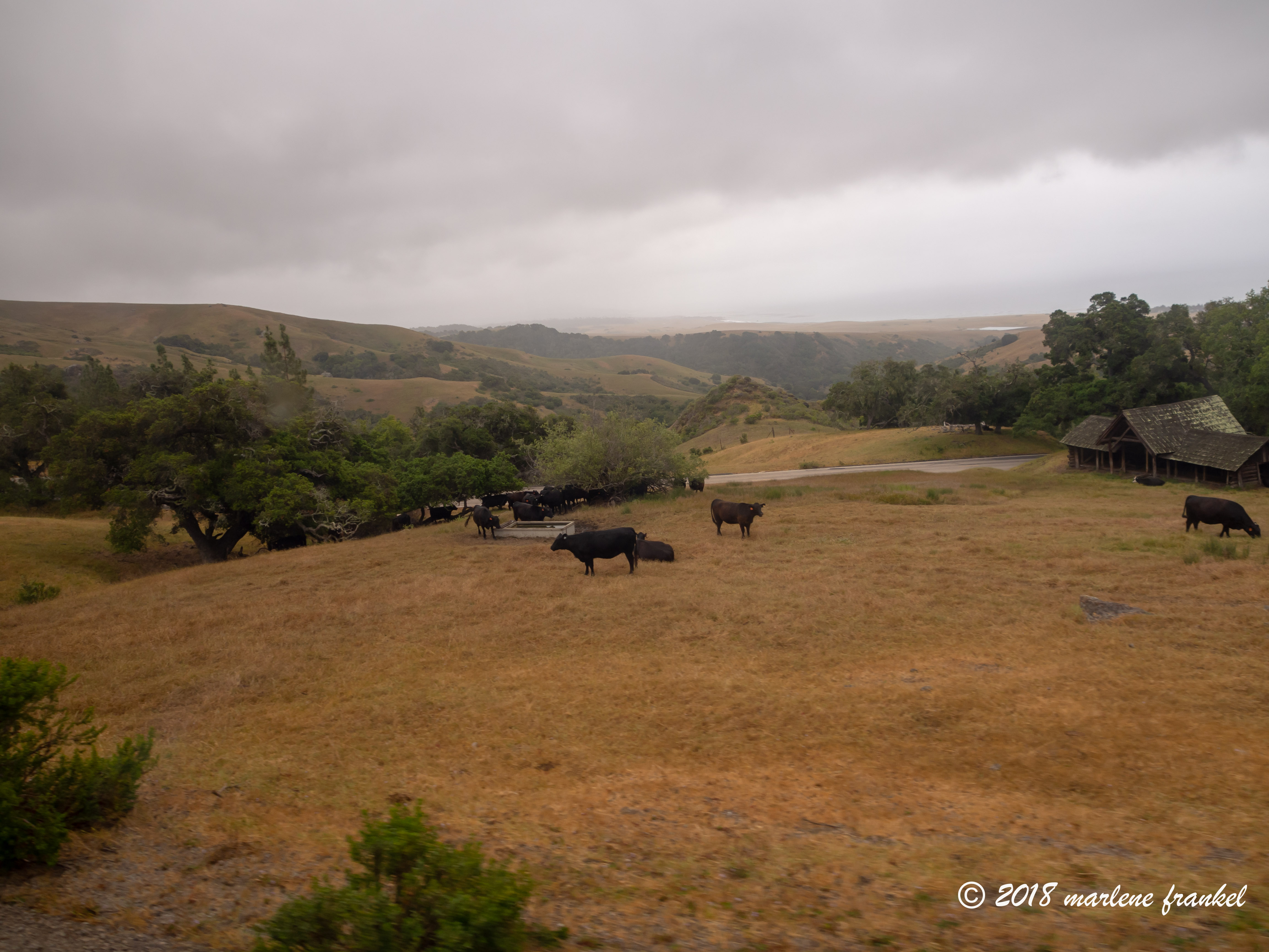 1805_30_SoCalTrip_2173