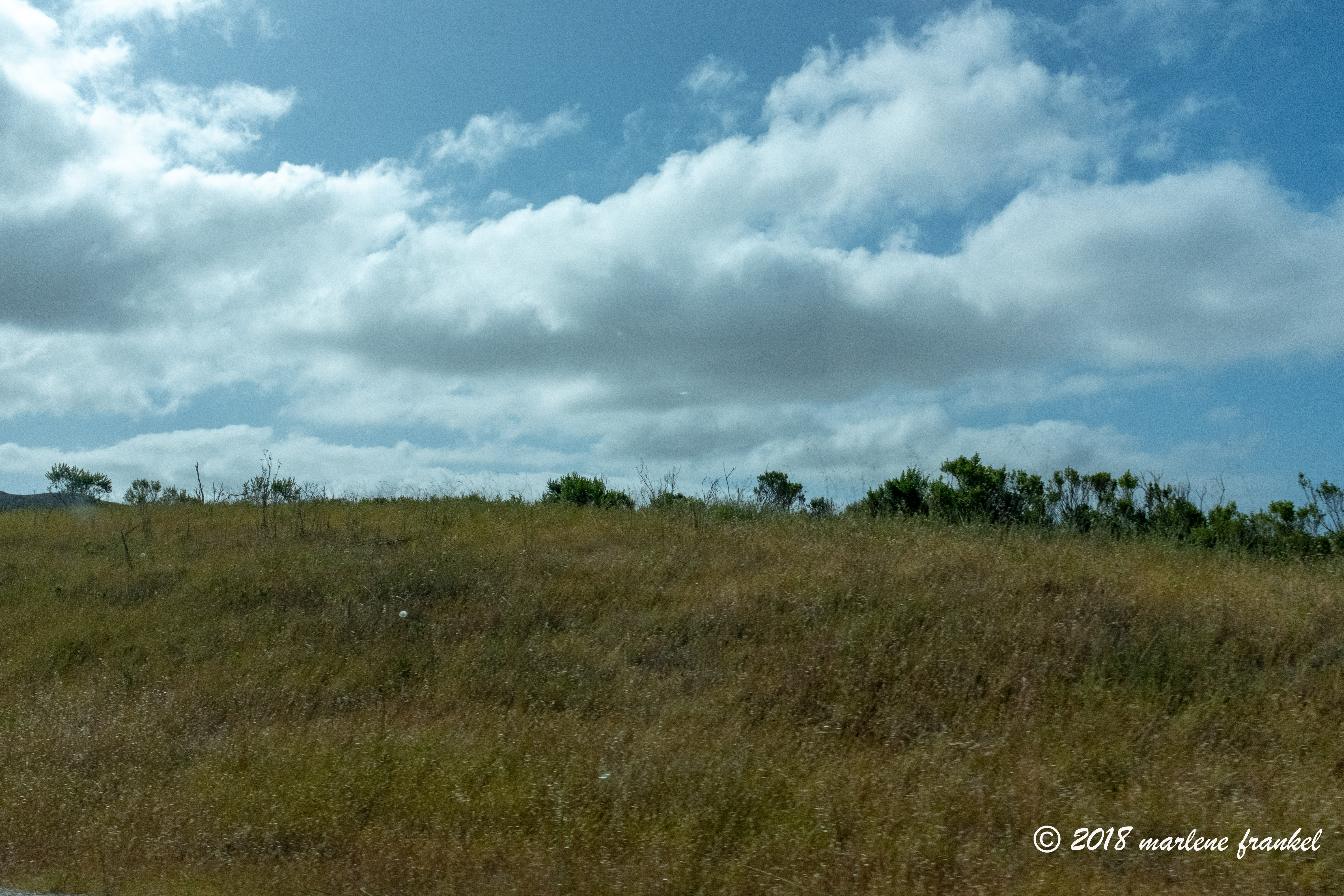 1805_31_SoCalTrip_0801